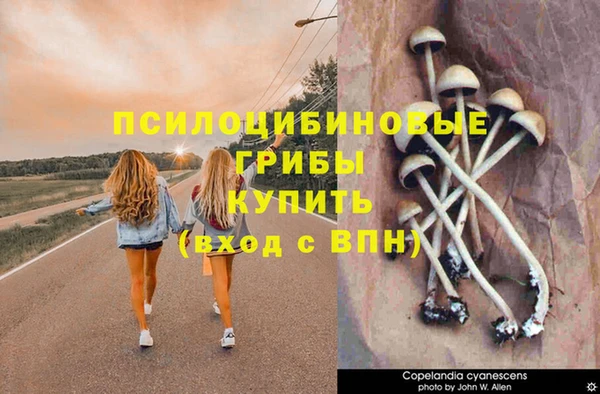 спайс Абинск