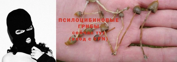 винт Абдулино