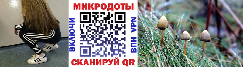 Псилоцибиновые грибы Cubensis  купить наркотик  Костерёво 